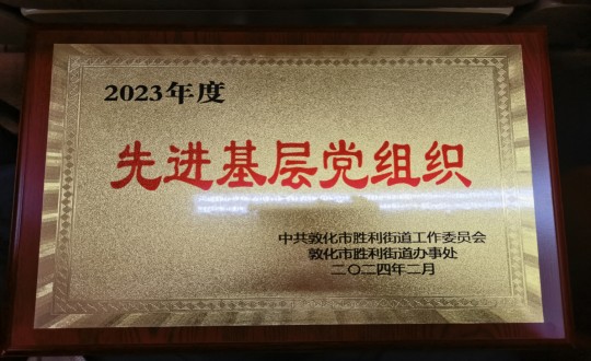 10.物業(yè)總公司敦化項(xiàng)目黨支部被授予“2023年度先進(jìn)基層黨組織”榮譽(yù)稱號_副本.jpg